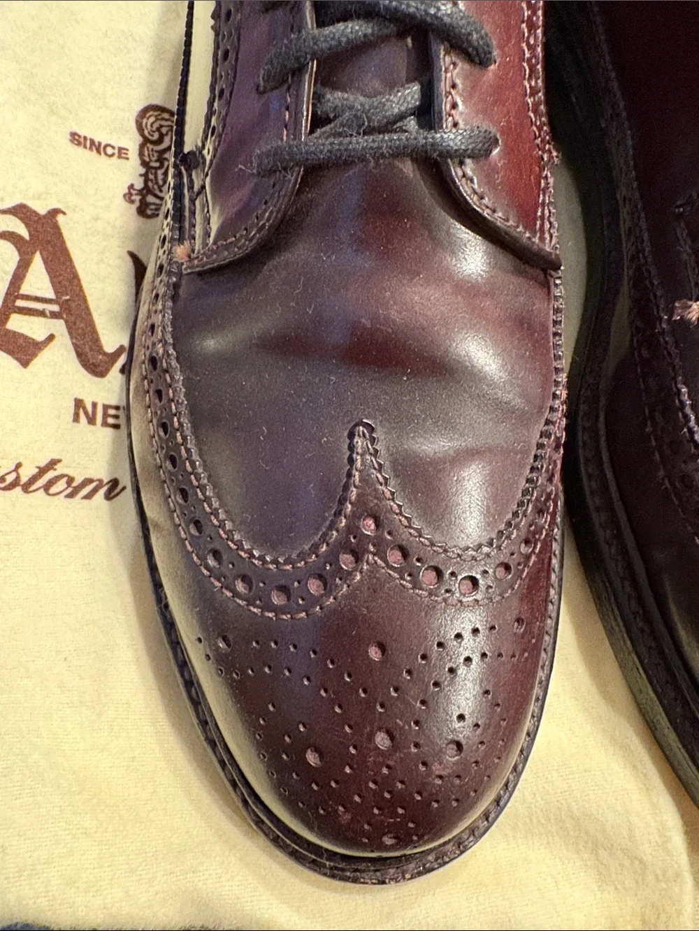 Alden Men's Burgundy Wingtip Derby Shoes